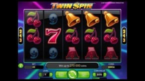 Twin Spin Slot View