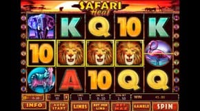 Safari Heat Slot View