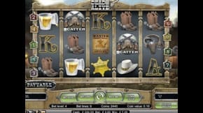 Dead or Alive Slot View